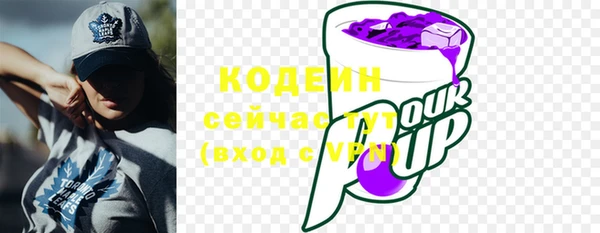 ALPHA PVP Инсар