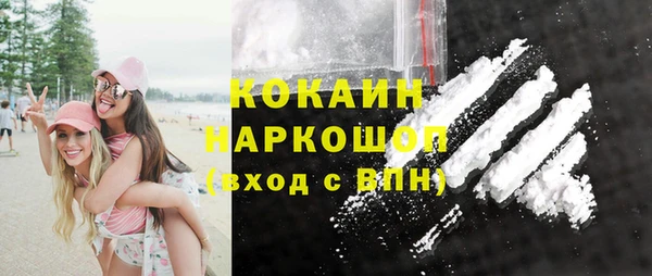 ALPHA PVP Инсар