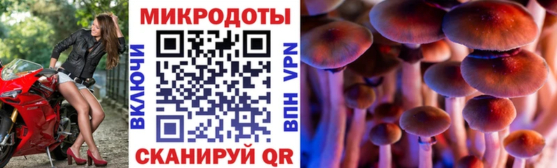 Псилоцибиновые грибы GOLDEN TEACHER  Купить  Лыткарино 